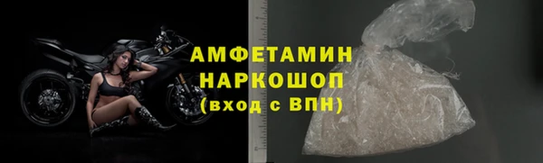PSILOCYBIN Покачи