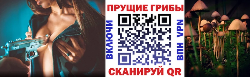 Галлюциногенные грибы Psilocybine cubensis  купить наркотики сайты  Петухово 